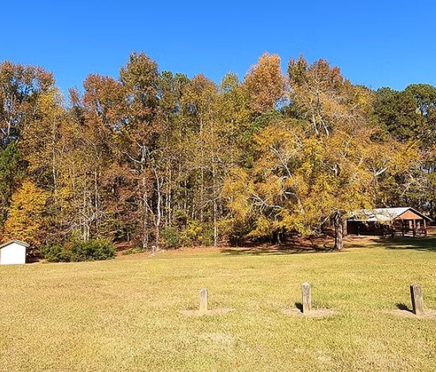 Thompson Mills Forest - Georgia State Arboretum, United States